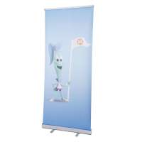 Custom Printing Economical retractable mini roll up banner